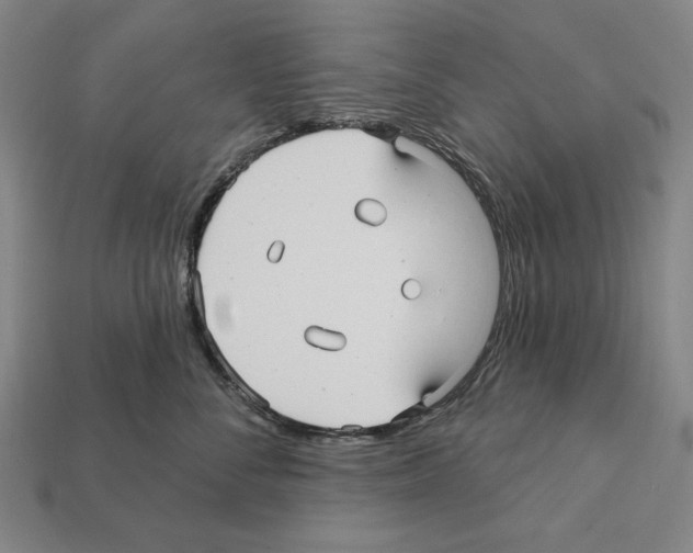 X0000112030716200909141056