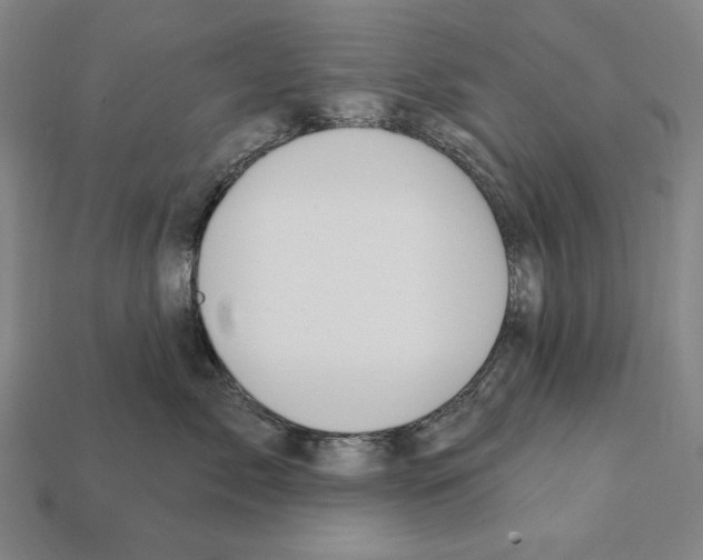 X0000112030717200909141056