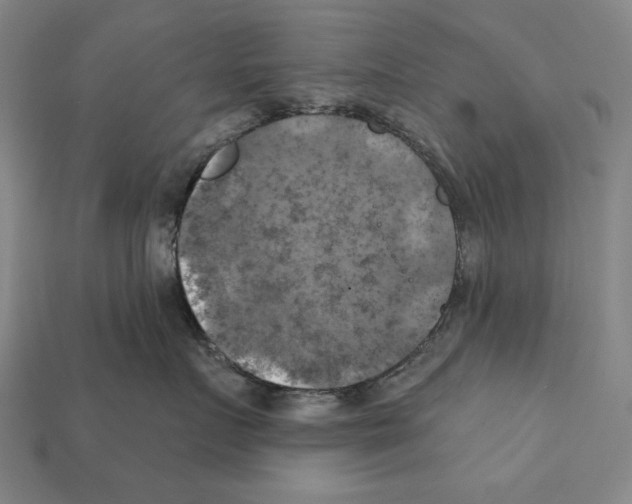 X0000112030719200909141056