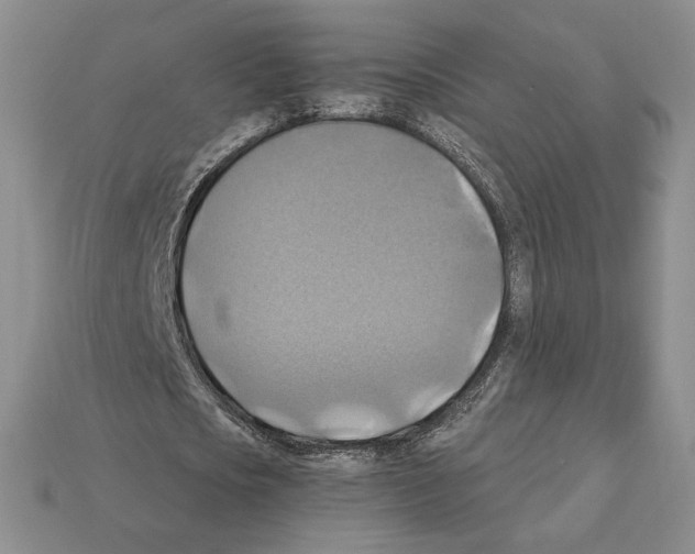 X0000112030721200909141056
