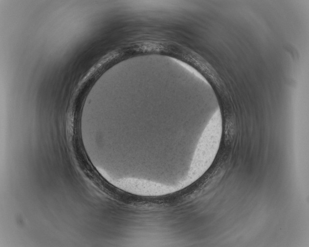 X0000112030722200909141056