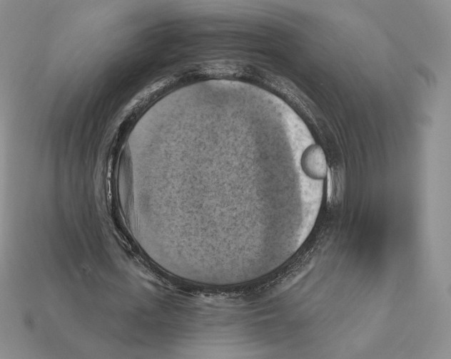 X0000112030723200909141056