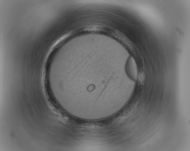 X0000112030724200909141056