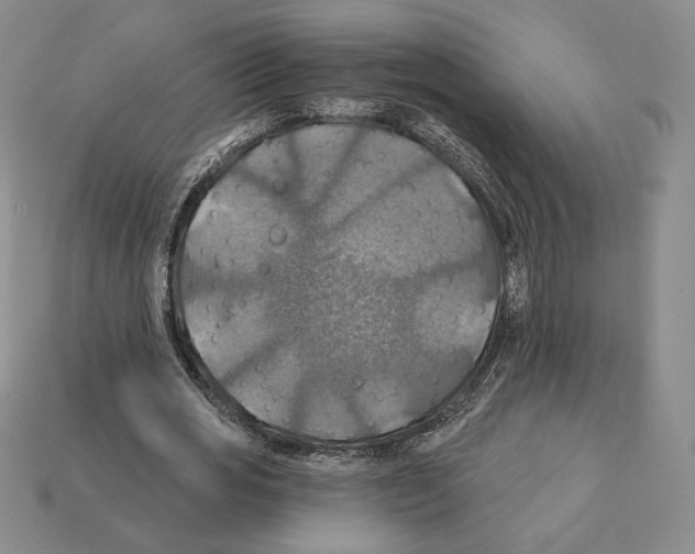 X0000112030725200909141056