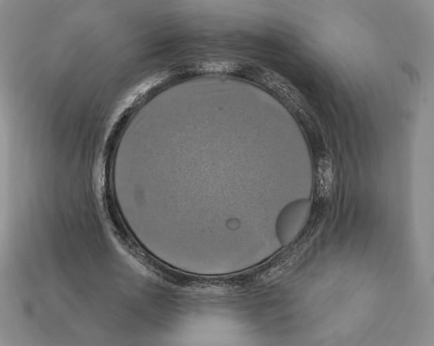 X0000112030726200909141056