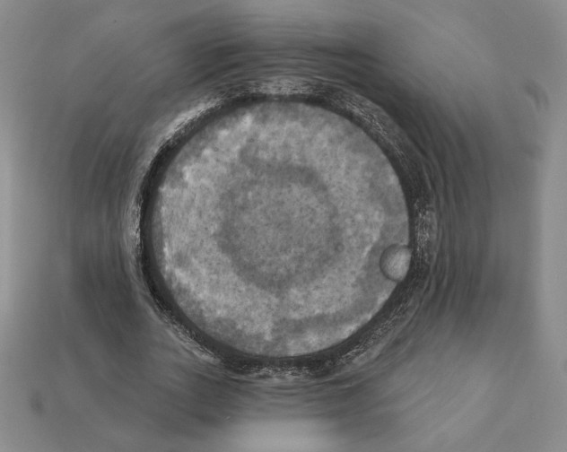 X0000112030727200909141056