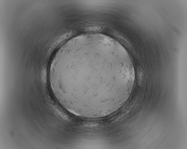 X0000112030729200909141056