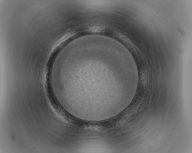 X0000112030730200909141056