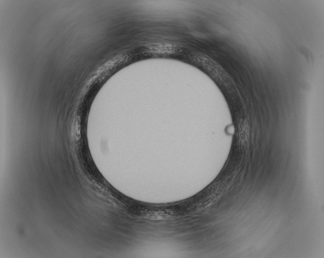 X0000112030731200909141056
