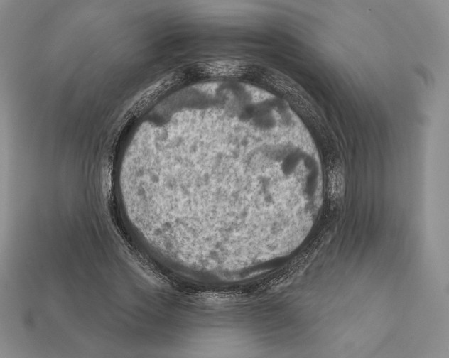 X0000112030733200909141056