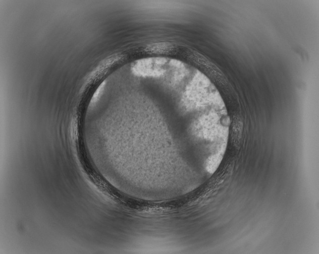 X0000112030734200909141056