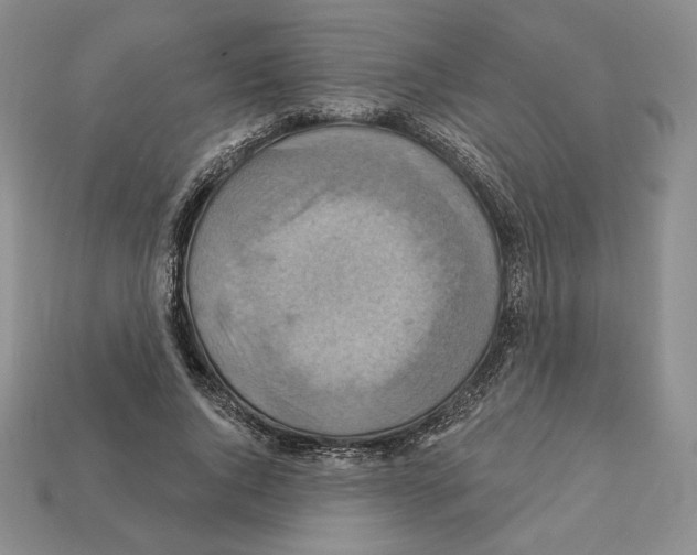 X0000112030736200909141056