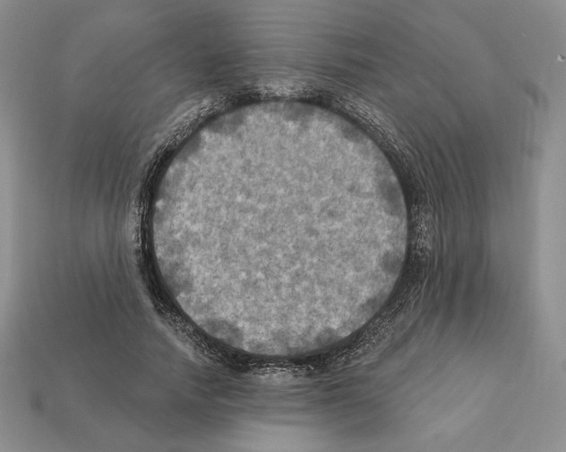X0000112030738200909141056