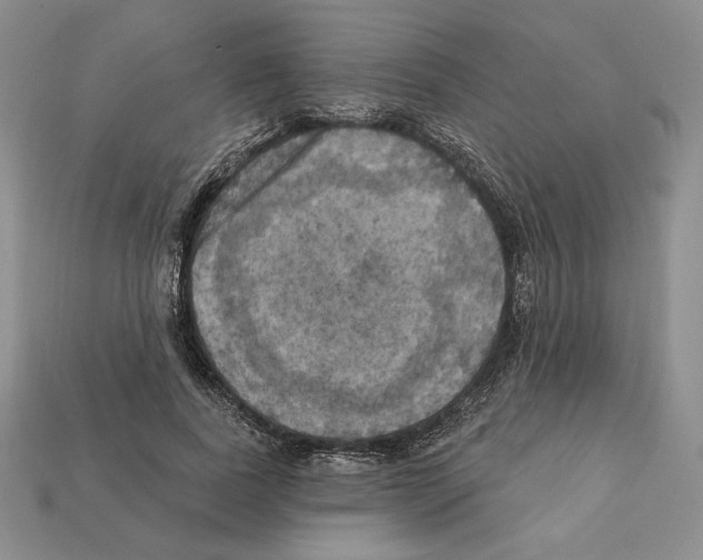 X0000112030739200909141056