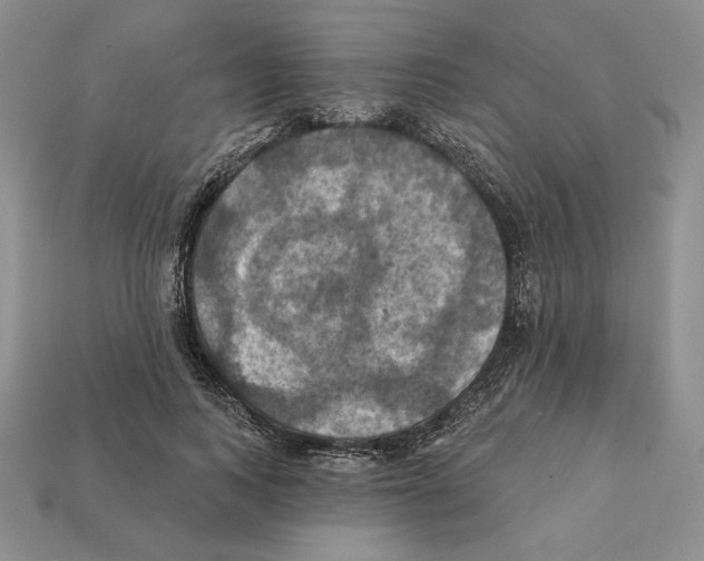 X0000112030743200909141056