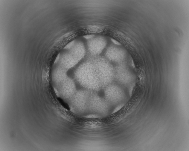 X0000112030745200909141056