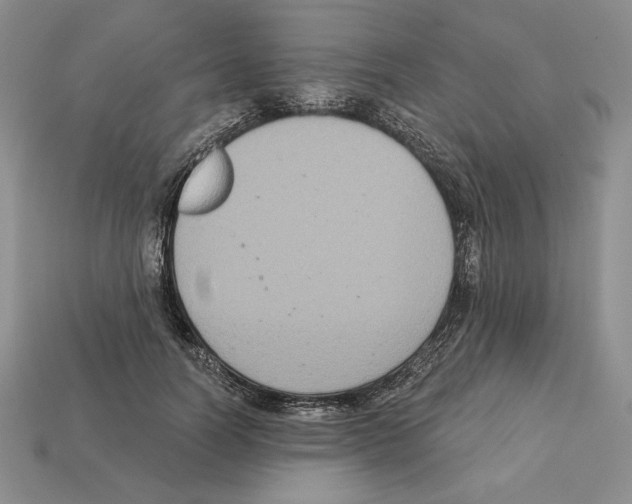 X0000112030746200909141056