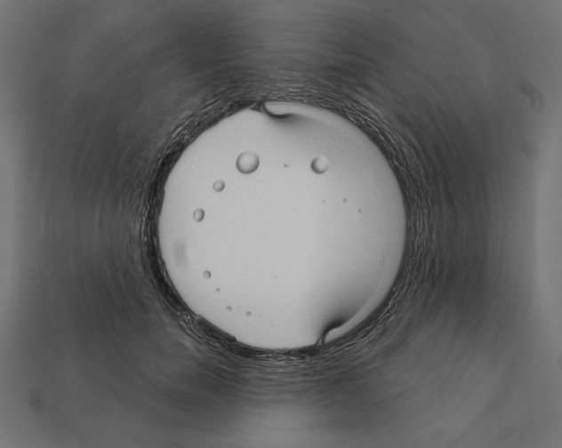 X0000112030750200909141056