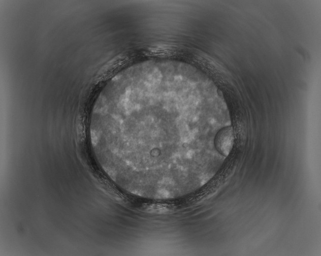 X0000112030751200909141056