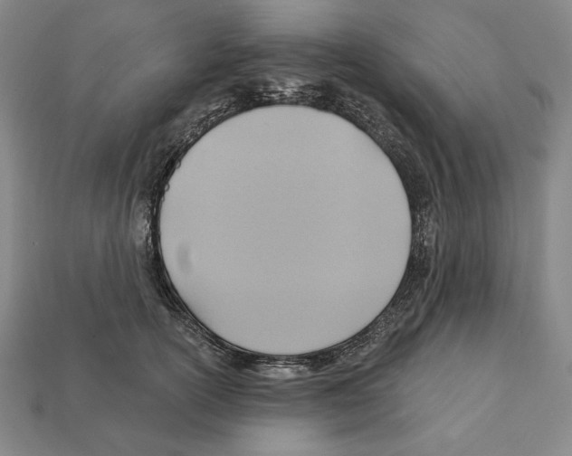 X0000112030754200909141056