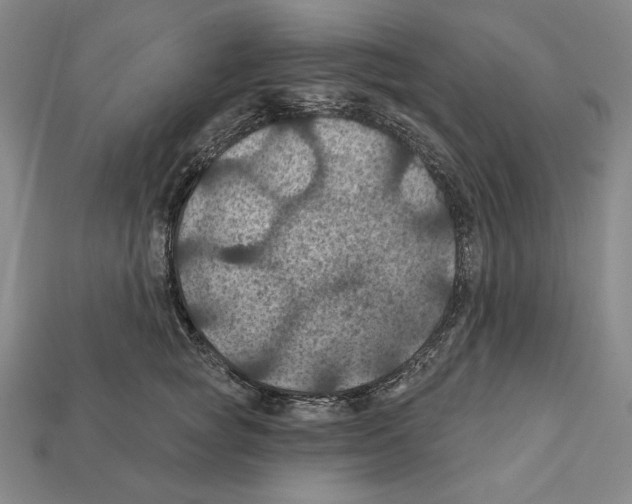 X0000112030757200909141056
