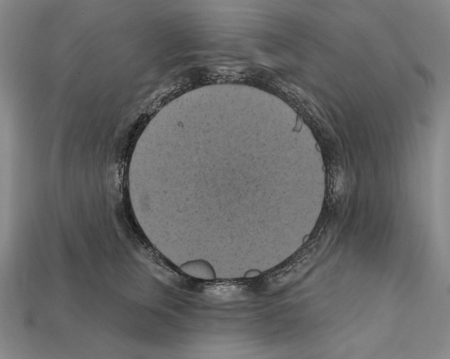 X0000112030759200909141056