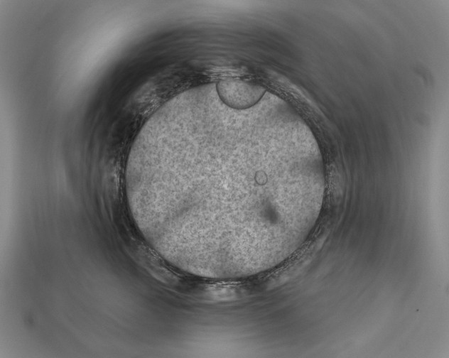 X0000112030761200909141056