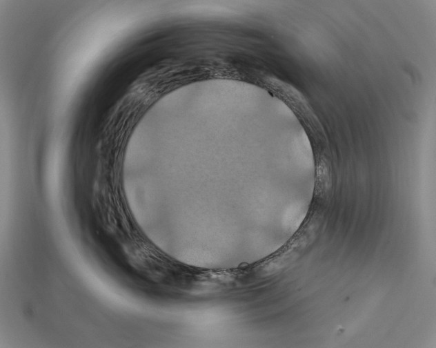 X0000112030765200909141056