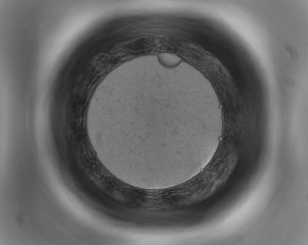 X0000112030766200909141056