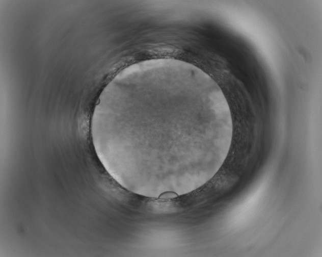 X0000112030767200909141056