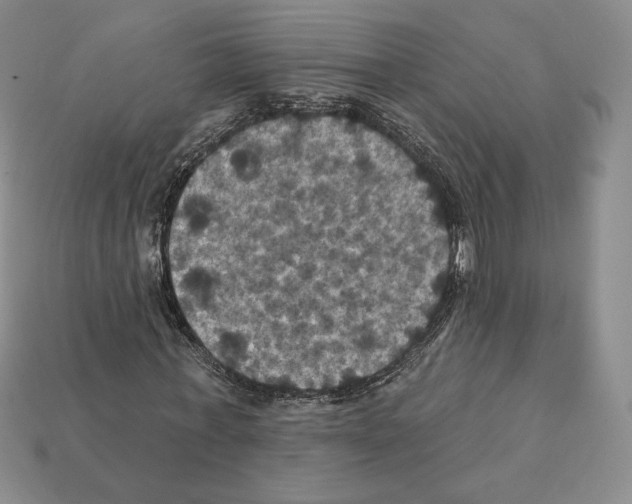 X0000112030771200909141056