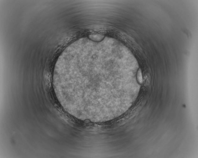 X0000112030772200909141056