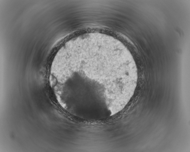 X0000112030775200909141056