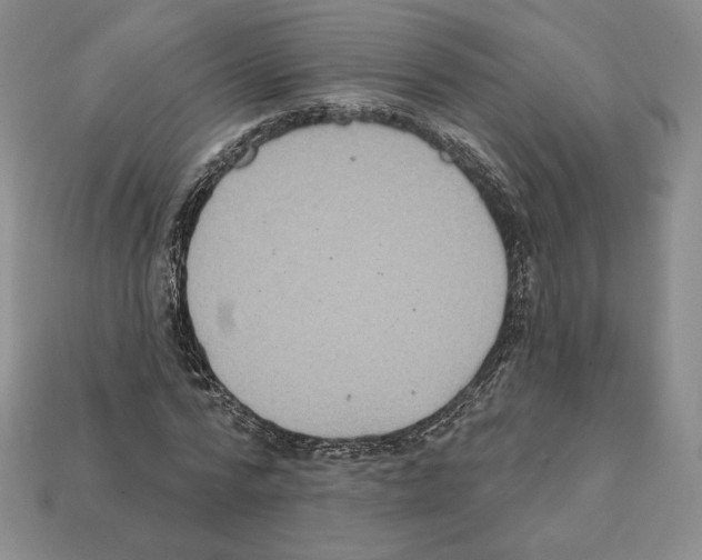 X0000112030776200909141056
