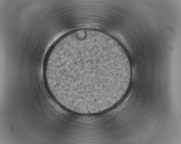X0000112030780200909141055
