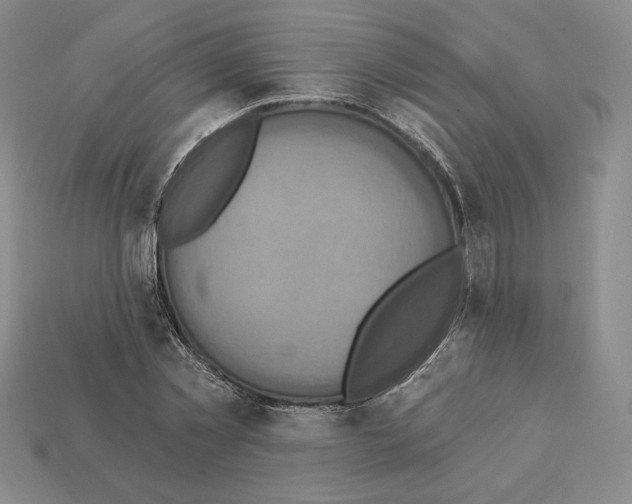 X0000112030781200909141055