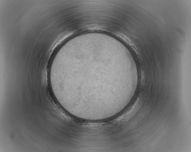 X0000112030782200909141055
