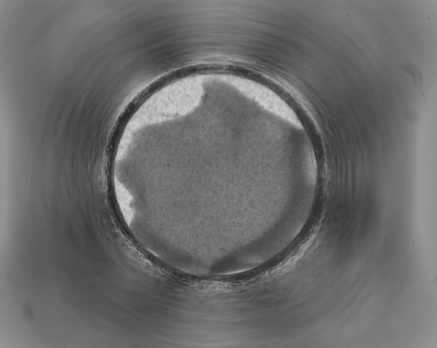 X0000112030783200909141055