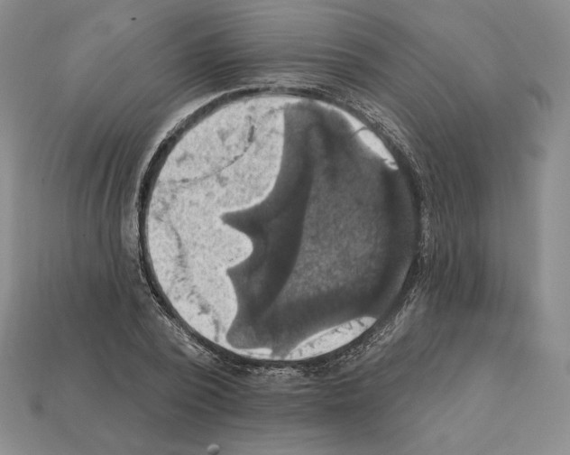X0000112030784200909141055