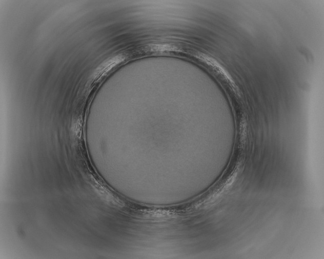 X0000112030785200909141055