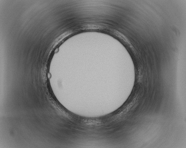 X0000112030786200909141055