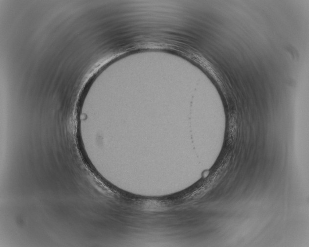 X0000112030787200909141055