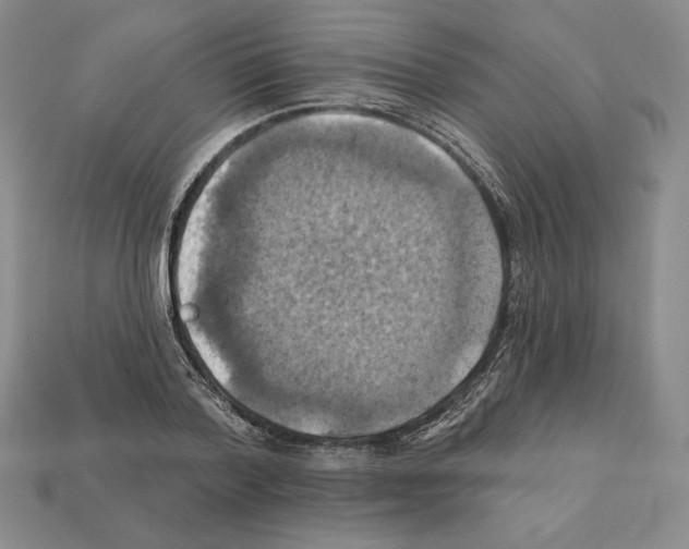 X0000112030788200909141055