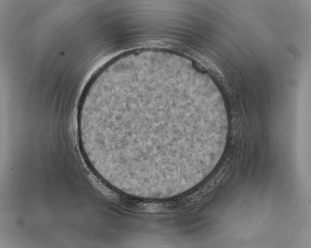 X0000112030792200909141055