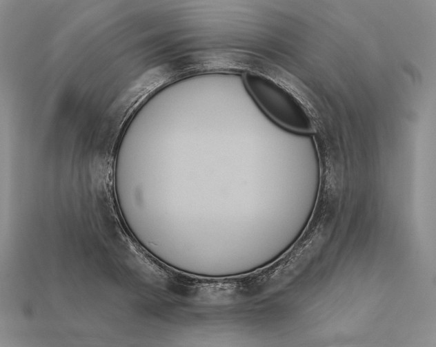 X0000112030793200909141055
