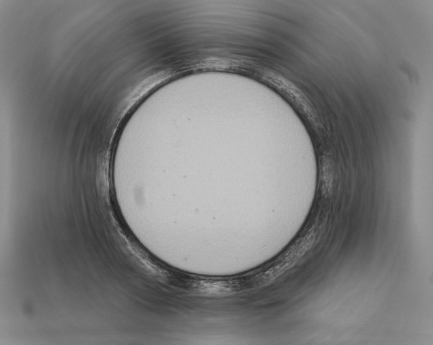 X0000112030794200909141055