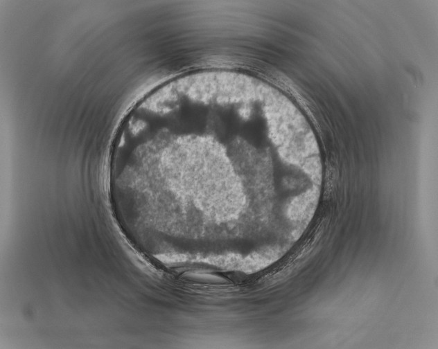 X0000112030795200909141055