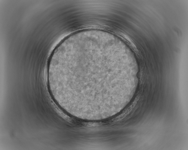 X0000112030796200909141055