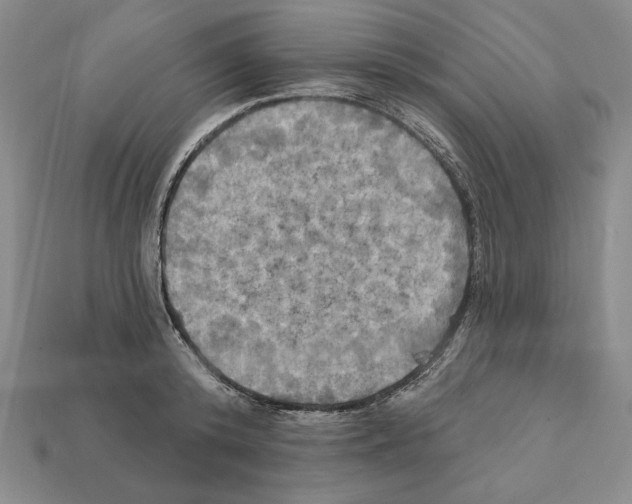 X0000112030800200909141055