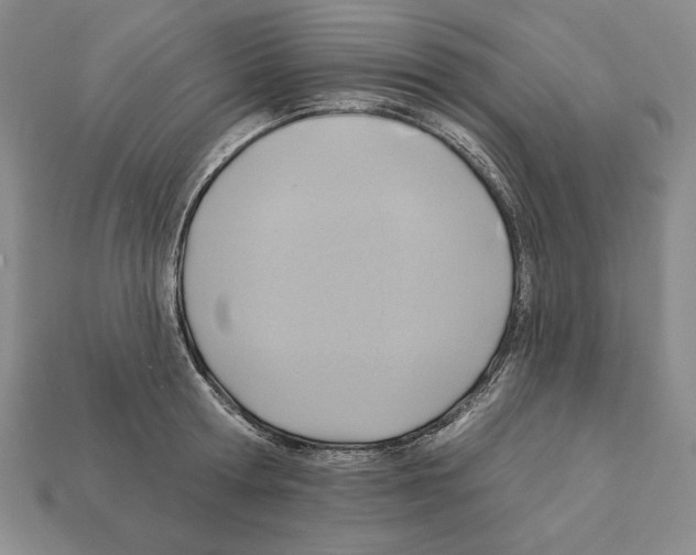 X0000112030802200909141055